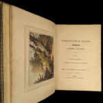 1841 1ed Foreign Field Sports Color Illustrated Hunting Fishing WHALING Howitt