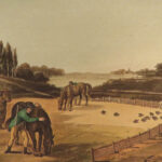 1841 1ed Foreign Field Sports Color Illustrated Hunting Fishing WHALING Howitt