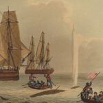 1841 1ed Foreign Field Sports Color Illustrated Hunting Fishing WHALING Howitt