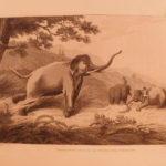 1808 1st Oriental Field Sports INDIA Big Game Hunting Bengali Elephants 2v SET