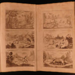 1734 Dianen SECRETS of Hunting Tanzer German Illustrated Bear Traps Sport DOGS