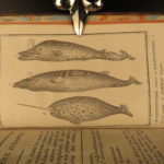 1804 WHALES Natural History Narwhals Illustrated Lacepede Cetology Dolphins 2v