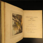 1841 1ed Foreign Field Sports Color Illustrated Hunting Fishing WHALING Howitt