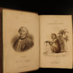 1833 1ed MONKEY Evolution Primate Chimpanzee Orangutan Color Illustrated Jardine