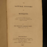 1833 1ed MONKEY Evolution Primate Chimpanzee Orangutan Color Illustrated Jardine