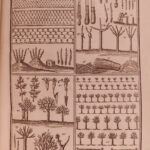 1749 Liger Rustic House Bees Beekeeping Hunting Wine Cuisine Maison Rustique 2v