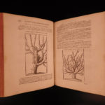 1749 Liger Rustic House Bees Beekeeping Hunting Wine Cuisine Maison Rustique 2v