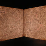 1730 History Geneva Switzerland 1ed Illustrated Swiss City Views Coins 2v Spon