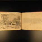1855 1ed RARE Sportsman’s Portfolio American HUNTING Fishing Illustrated Moose