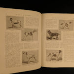 1903 Sports of the World Golf Maori Sports Tiger HUNTING Military Cricket India
