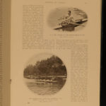 1903 Sports of the World Golf Maori Sports Tiger HUNTING Military Cricket India