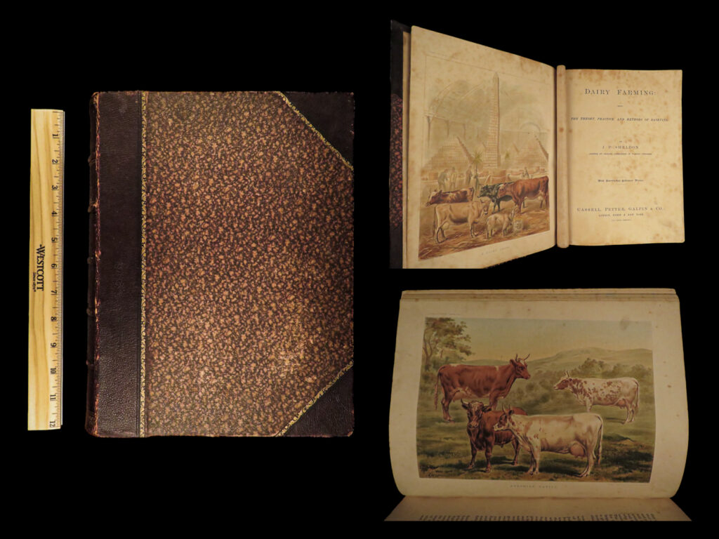 Dairy farming, being the theory, practice and methods of dairying. By j. P. Sheldon. Assisted by leading authorities in various countries. John p sheldon.