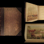 1880 1ed Dairy Farming by Sheldon Agriculture Cattle Color Illustrated Milk Cows