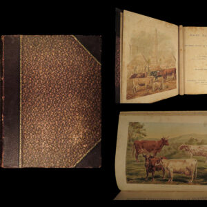 Dairy Farming, being the theory, practice and methods of dairying. By J.P. Sheldon. Assisted by leading authorities in various countries. John P Sheldon.