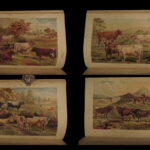 1880 1ed Dairy Farming by Sheldon Agriculture Cattle Color Illustrated Milk Cows