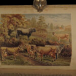 1880 1ed Dairy Farming by Sheldon Agriculture Cattle Color Illustrated Milk Cows