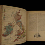 1880 1ed Dairy Farming by Sheldon Agriculture Cattle Color Illustrated Milk Cows