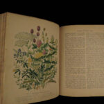 1880 1ed Dairy Farming by Sheldon Agriculture Cattle Color Illustrated Milk Cows