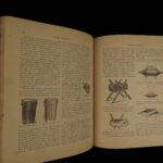 1880 1ed Dairy Farming by Sheldon Agriculture Cattle Color Illustrated Milk Cows