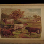 1880 1ed Dairy Farming by Sheldon Agriculture Cattle Color Illustrated Milk Cows