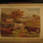 1880 1ed Dairy Farming by Sheldon Agriculture Cattle Color Illustrated Milk Cows