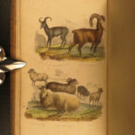 1870 1ed Domesticated Animals Mudie FARMING Agriculture Horses Color Illustrated