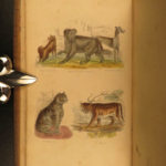 1870 1ed Domesticated Animals Mudie FARMING Agriculture Horses Color Illustrated