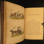 1870 1ed Domesticated Animals Mudie FARMING Agriculture Horses Color Illustrated