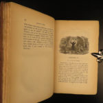 1841 1ed Emperor Nicholas of Russia PROVENANCE Gunnery Greener SIGNED Firearms