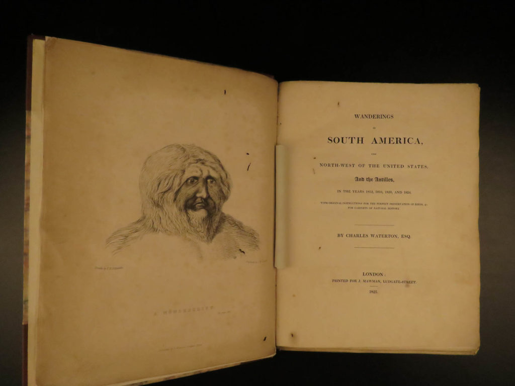 1825 1ed wanderings south america natural history darwin & wallace inspiration | <em>charles waterton (1781-1865) was a famous english naturalist, explorer, taxidermist, pioneering conservationist and overall polymath interested in anything and everything. </em> <em>first visited british guiana with his father in 1804. He subsequently returned on 4 occasions between 1812 and 1824, during which time he travelled extensively in the guianas and across the northern part of south america. He was one of the first to observe the birds and animals of the tropics. <strong>he described his discoveries in this book ‘wanderings in south america,’ which inspired charles darwin and alfred russel wallace. </strong> </em> <em> </em> <em>this 1825 first edition of waterton’s ‘wanderings’ catered to the reading public's taste for adventures with its descriptions of a fight with a boa constrictor and the capture of crocodiles and his descriptive writing caused a stir in victorian england with the publication of a drawing of a half man, half animal creature he was supposed to have seen labeled on the frontispiece 'the nondescript'. This specimen is still on display at the wakefield museum, along with other items from waterton's collection. </em>  