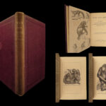1874 1ed Mivart Man & Apes DARWIN EVOLUTION Zoology Illustrated Gorilla Catholic