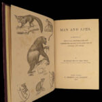 1874 1ed Mivart Man & Apes DARWIN EVOLUTION Zoology Illustrated Gorilla Catholic