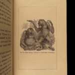 1874 1ed Mivart Man & Apes DARWIN EVOLUTION Zoology Illustrated Gorilla Catholic