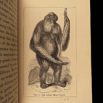 1874 1ed Mivart Man & Apes DARWIN EVOLUTION Zoology Illustrated Gorilla Catholic