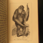 1874 1ed Mivart Man & Apes DARWIN EVOLUTION Zoology Illustrated Gorilla Catholic