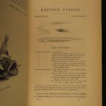 1859 British Fish Illustrated Woodcut Engravings Natural History Yarrell 2v SET