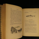 1859 British Fish Illustrated Woodcut Engravings Natural History Yarrell 2v SET