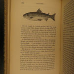 1859 British Fish Illustrated Woodcut Engravings Natural History Yarrell 2v SET