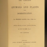 1875 Charles Darwin Variation Under Domestication Biology Plant Evolution 2v