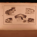 1789 Essays on Physiognomy Caspar Lavater Illustrated Occult Sciences Philosophy