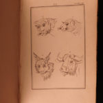 1789 Essays on Physiognomy Caspar Lavater Illustrated Occult Sciences Philosophy