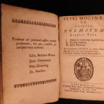 1670 Huguenot Peter Moulin Charles I Execution Parerga John Milton Salmasius