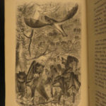 1861 CEYLON Natural History Sri Lanka Monkeys Elephant Illustrated Asia Tennent