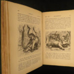 1861 CEYLON Natural History Sri Lanka Monkeys Elephant Illustrated Asia Tennent