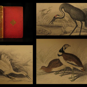 1840 Jardine BIRDS 34 Hand-Colored Illustrated Aviary Ireland Quails ORNITHOLGY