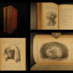 1887 Charles Darwin Variation Under Domestication Biology Plant Evolution German