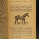 1887 Charles Darwin Variation Under Domestication Biology Plant Evolution German