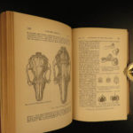 1887 Charles Darwin Variation Under Domestication Biology Plant Evolution German