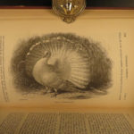 1887 Charles Darwin Variation Under Domestication Biology Plant Evolution German
