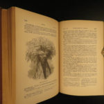1887 Charles Darwin Variation Under Domestication Biology Plant Evolution German